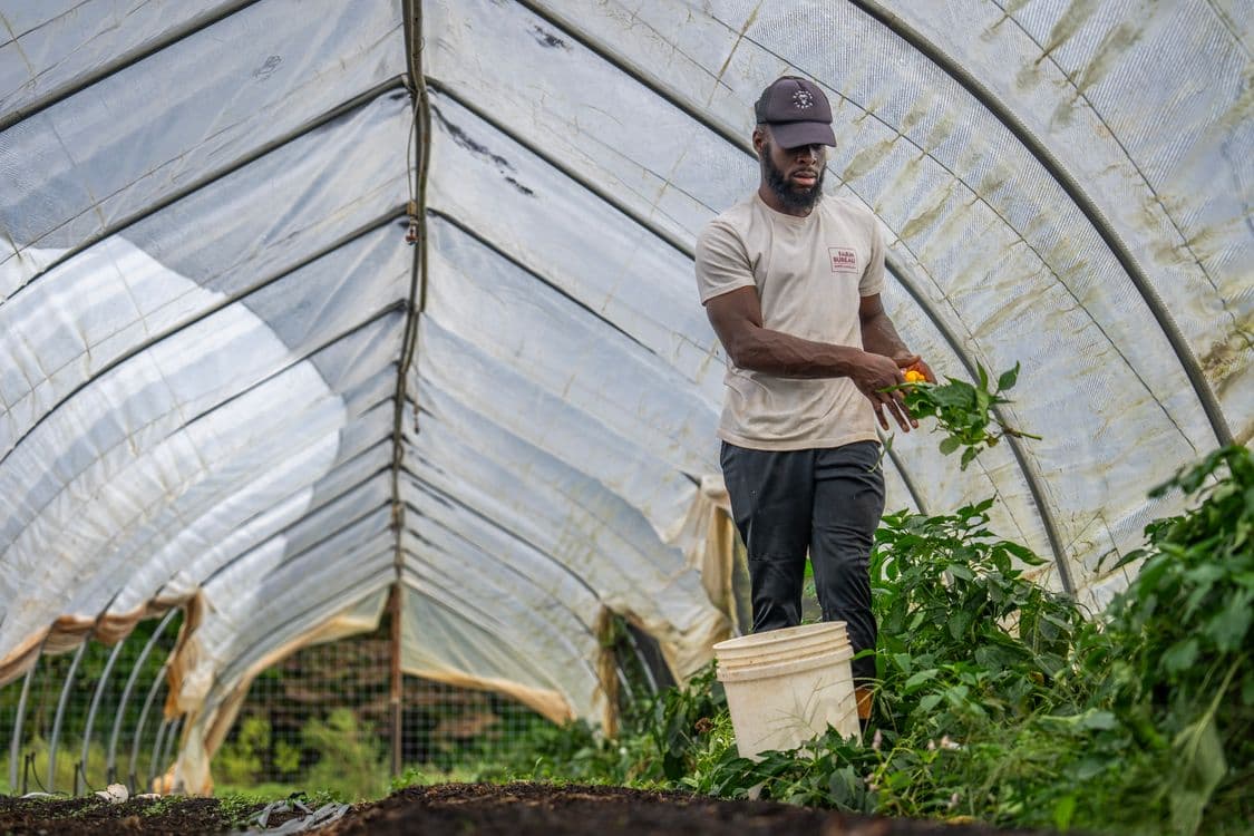 Productora caminando entre cultivos mientras revisa el trabajo de la finca